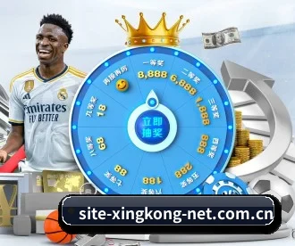 星空娱乐 APP 深度功能